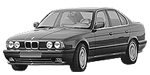 BMW E34 P113E Fault Code